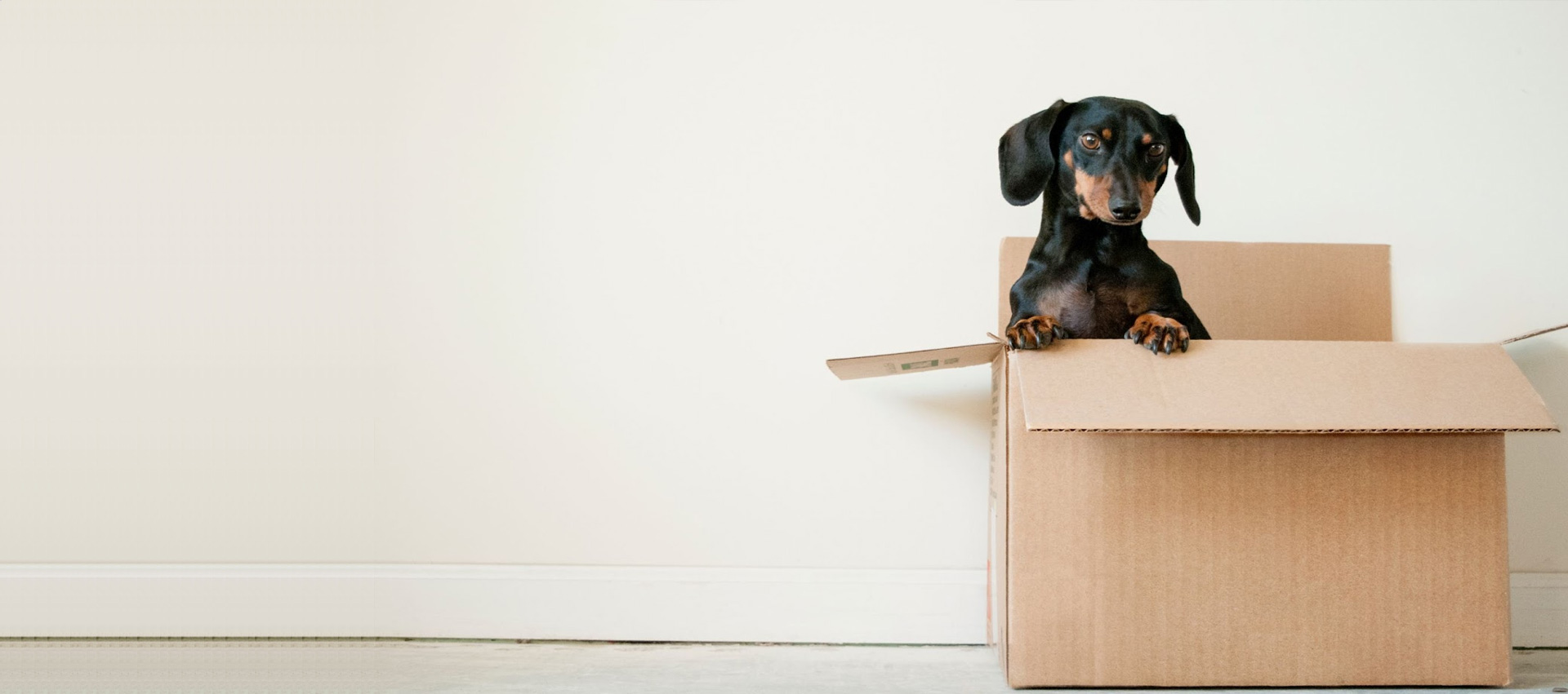 Moving Companies in Baltimore MD